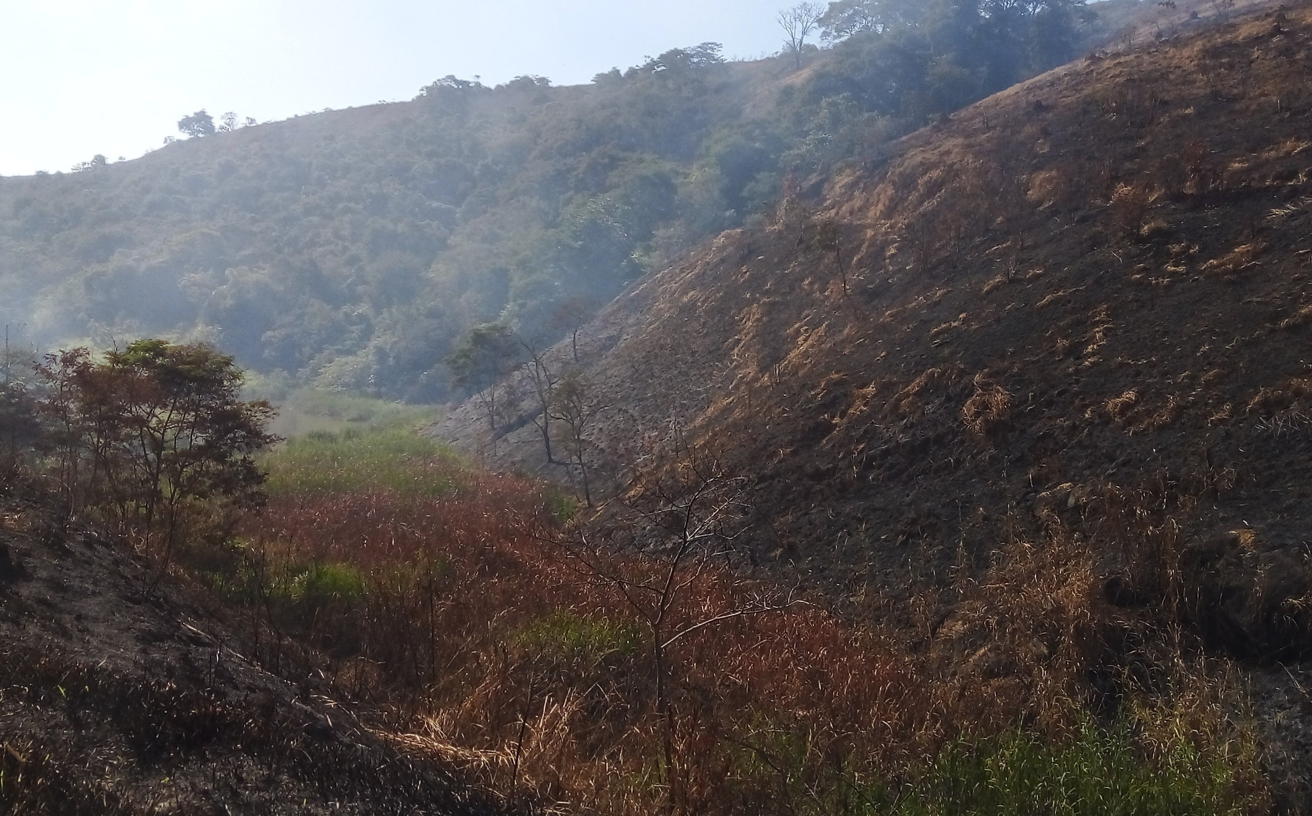 Incêndio florestal em região próxima à BR-040